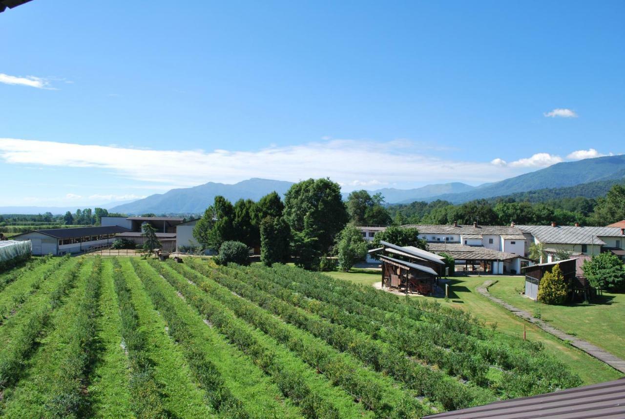 Agriturismo Il Frutto Permesso Bibiana Exterior foto